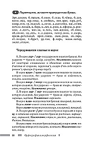 Русский язык для школьников. Орфография и морфология. Синтаксис и пунктуация